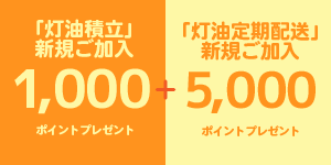 新規ポイント