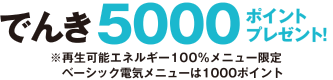 でんき加入で5000ポイントプレゼント
